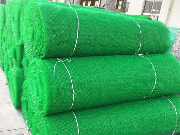 三維植被網(wǎng),三維土工網(wǎng)